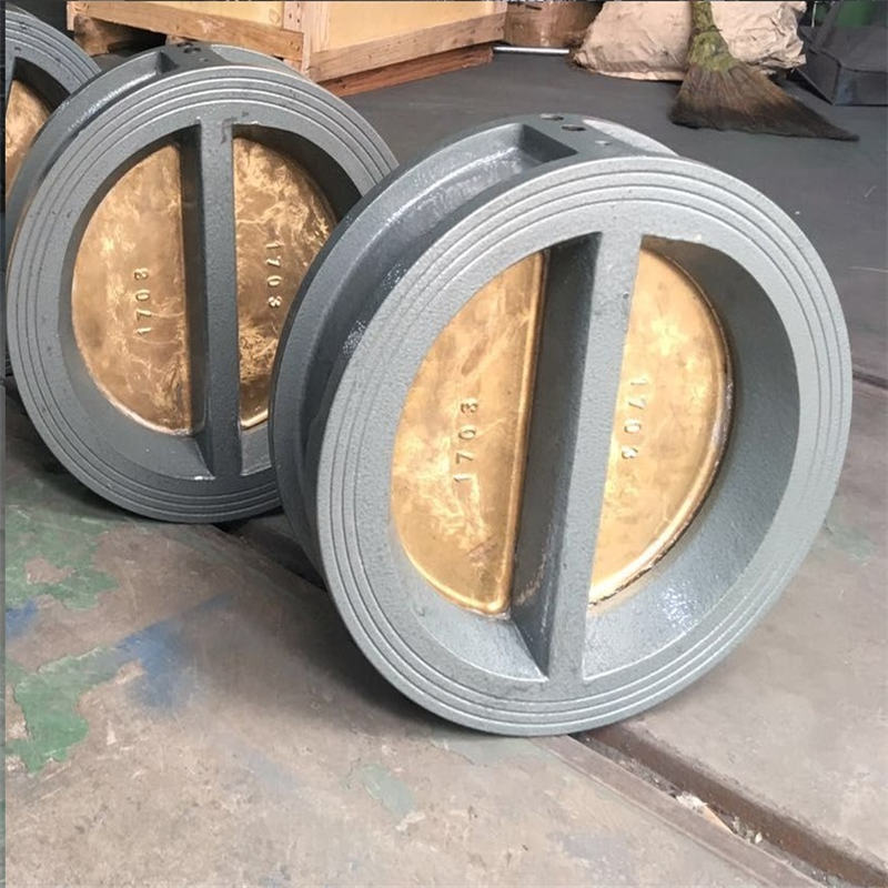 蝶式止回閥_小型止回閥